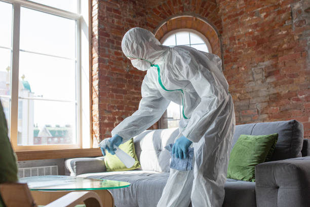 Best Mold Remediation for Vacation Homes  in Pahrump, NV